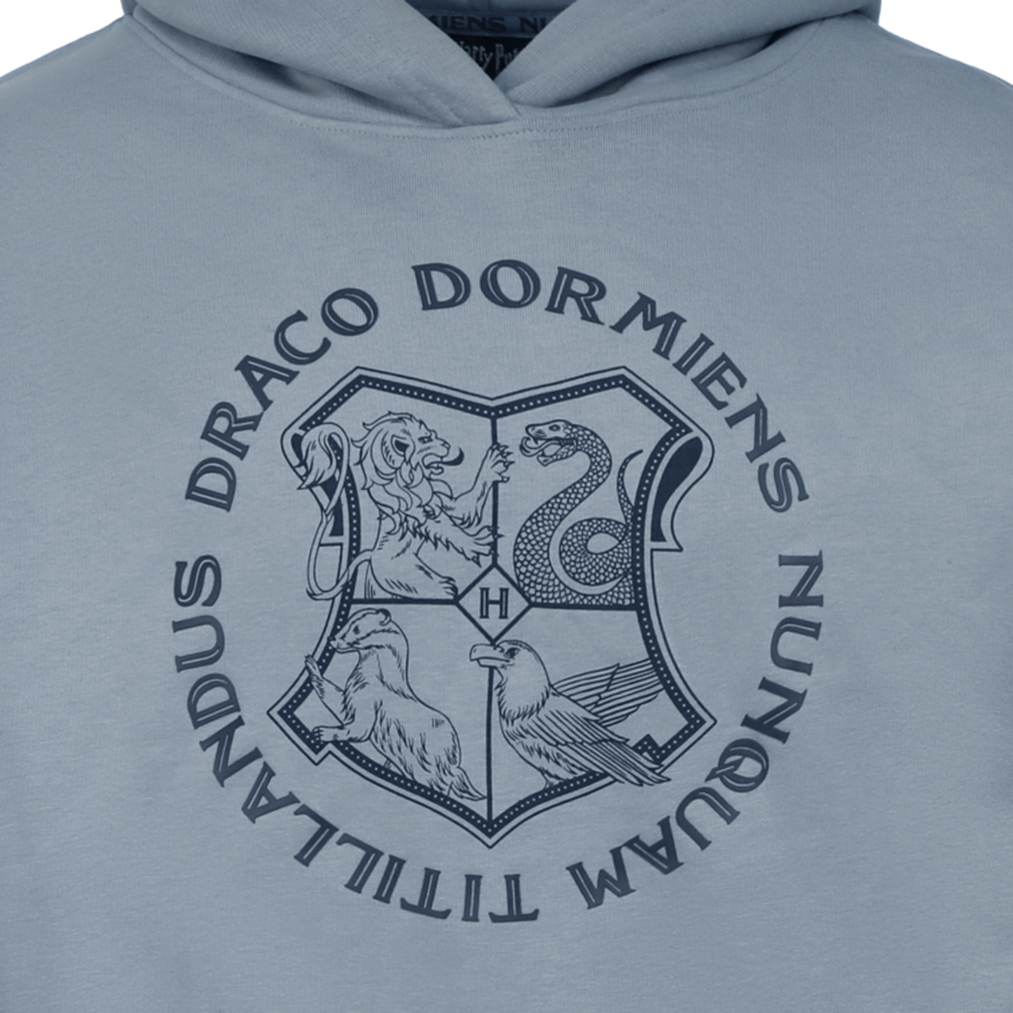 Hogwarts Crest Online Exclusive Hoodie