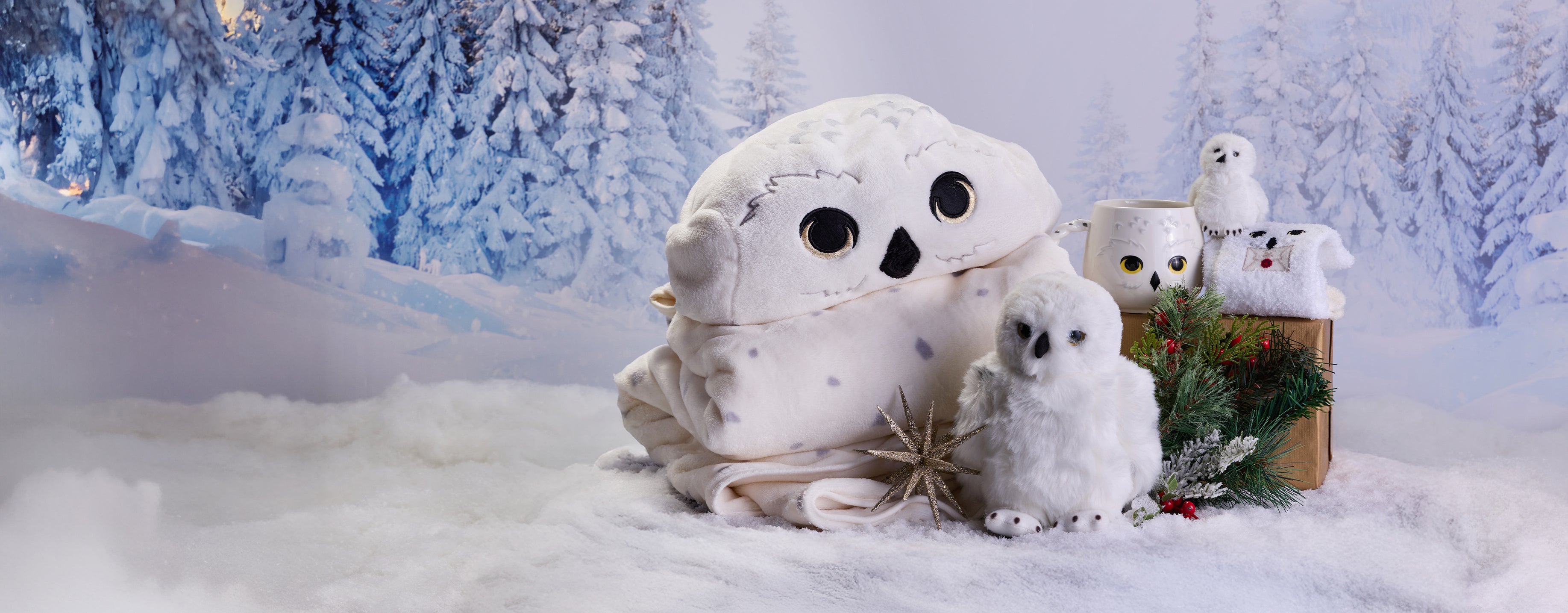 Harry Potter Christmas Gift Sets