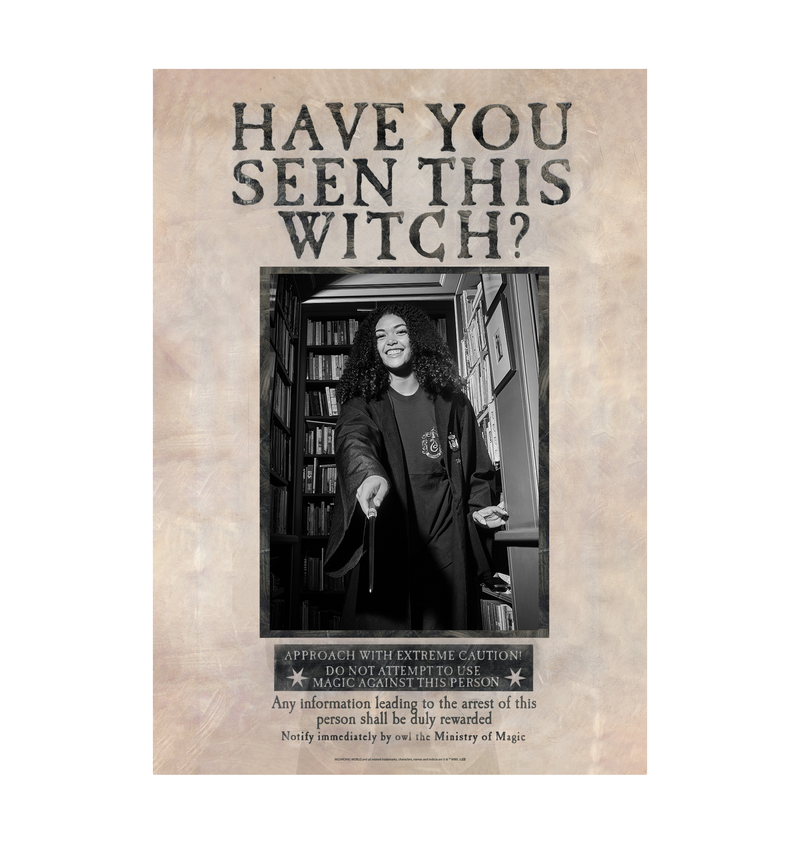 Have You Seen This Witch Personalised Poster