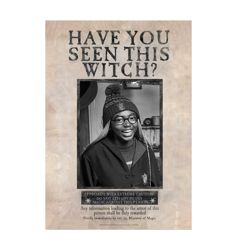 Have You Seen This Witch Personalised Poster