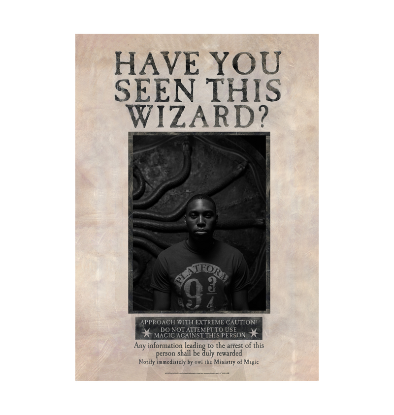 Have You Seen This Wizard Personalised Poster