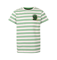 Kids Slytherin Striped T-Shirt