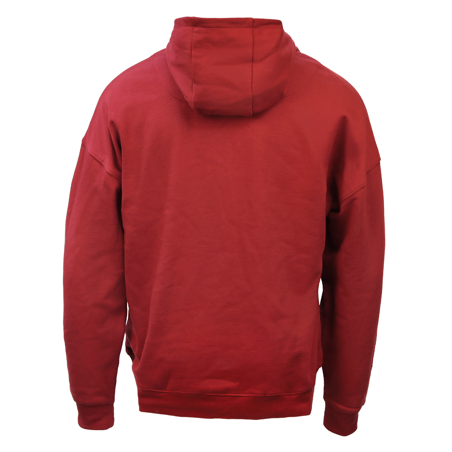 House Mascot Gryffindor Hoodie