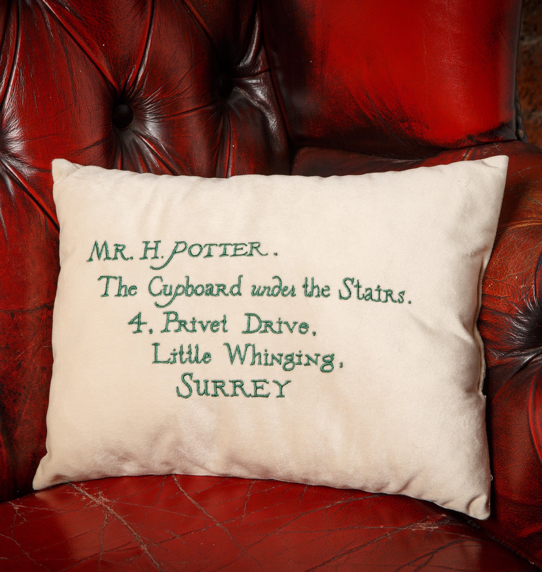 Hogwarts Express Acceptance Letter Cushion