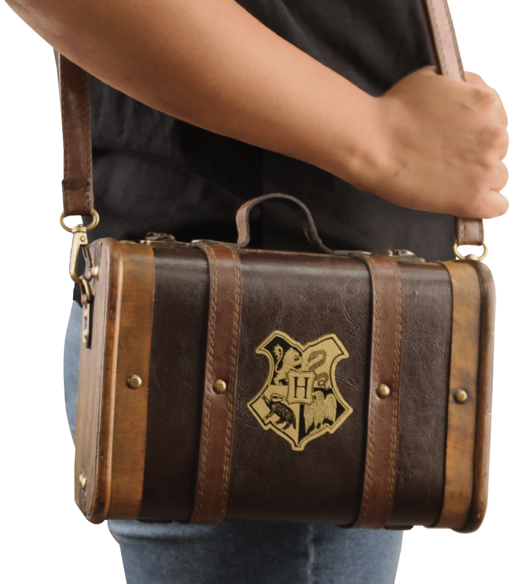 Carrying Mini Hogwarts School Trunk