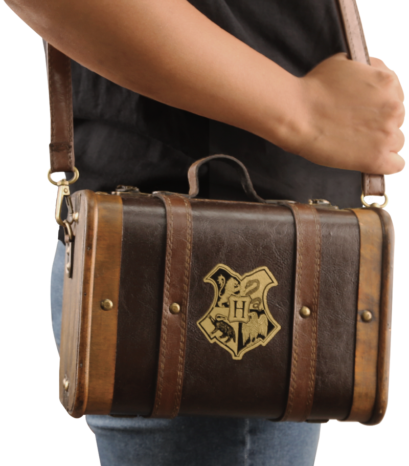 Carrying Mini Hogwarts School Trunk