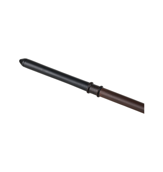 Draco Malfoy's Wand
