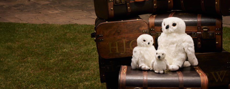 Hedwig the Snowy Owl