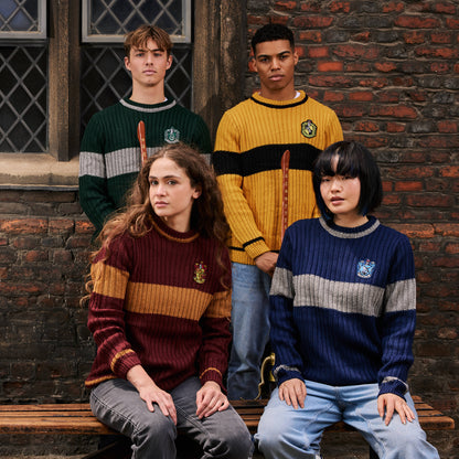 House Quidditch Jumper