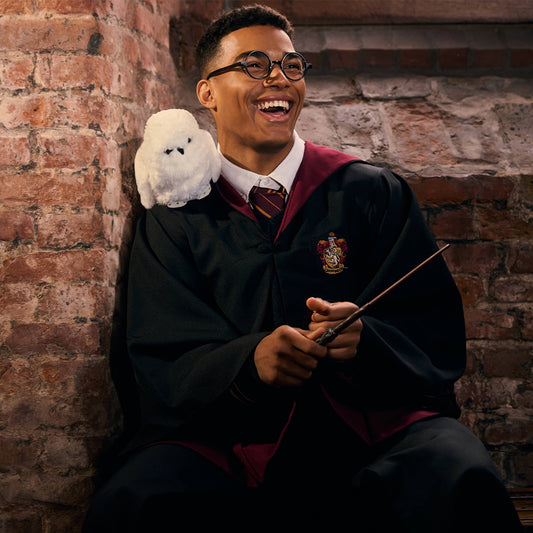 Harry Potter Costume Set