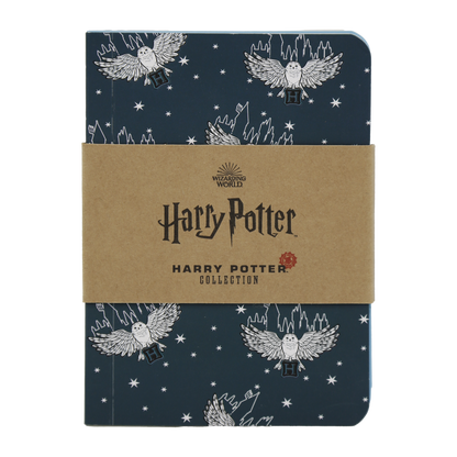 Magical Hogwarts Notebook Set