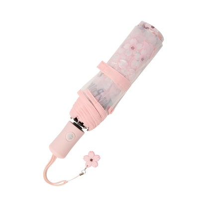 Sakura Umbrella