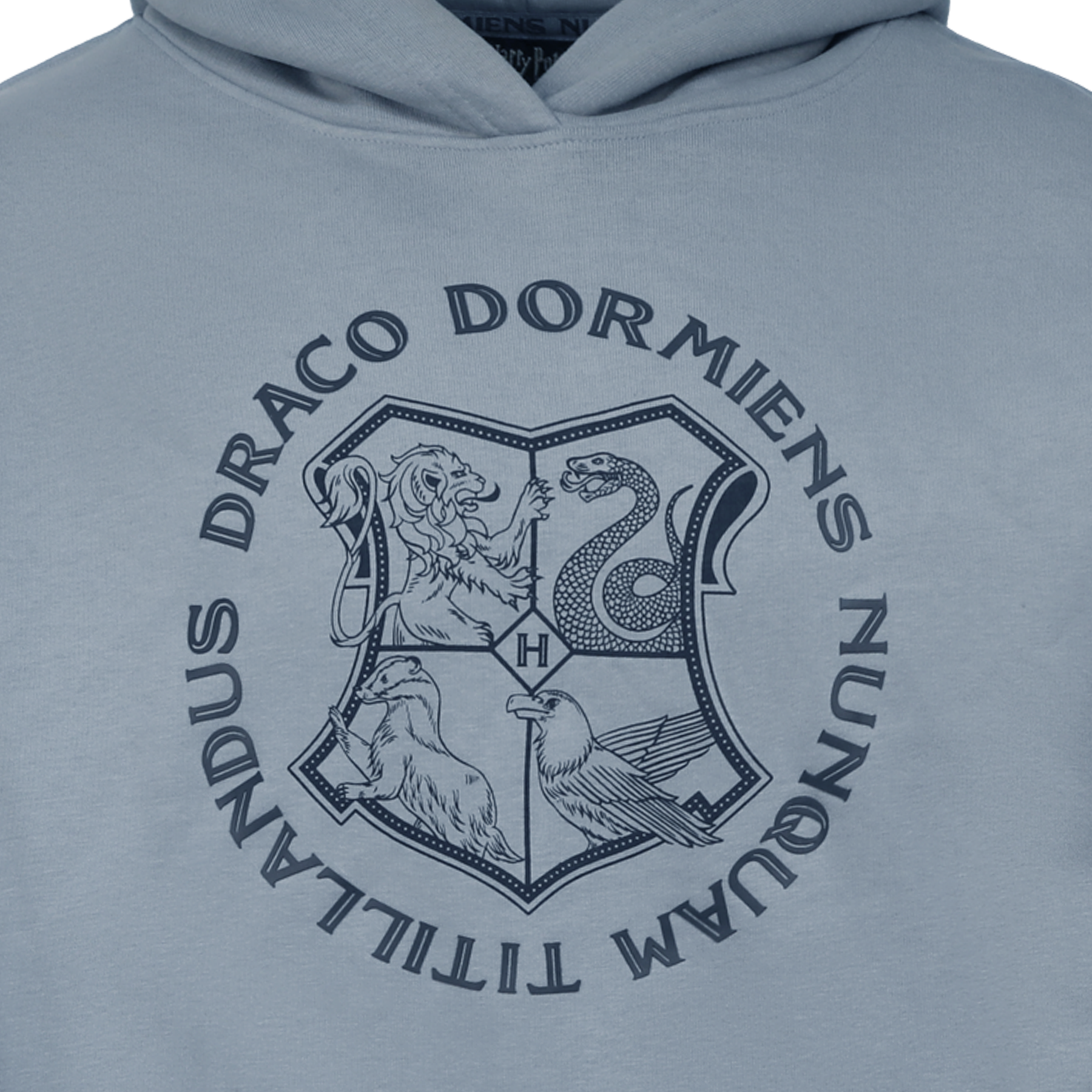 Hogwarts Crest Online Exclusive Hoodie