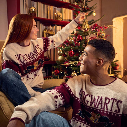 Hogwarts Christmas Knitted Jumper