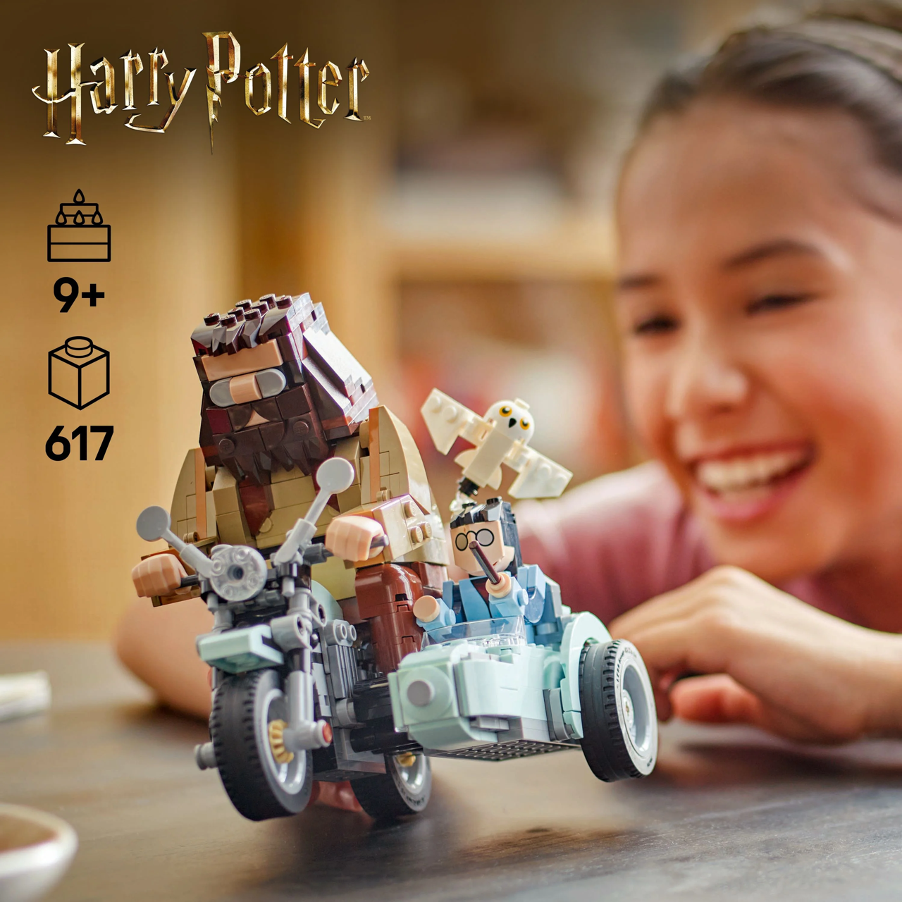 Hagrid & Harry's Motorcycle Ride LEGO