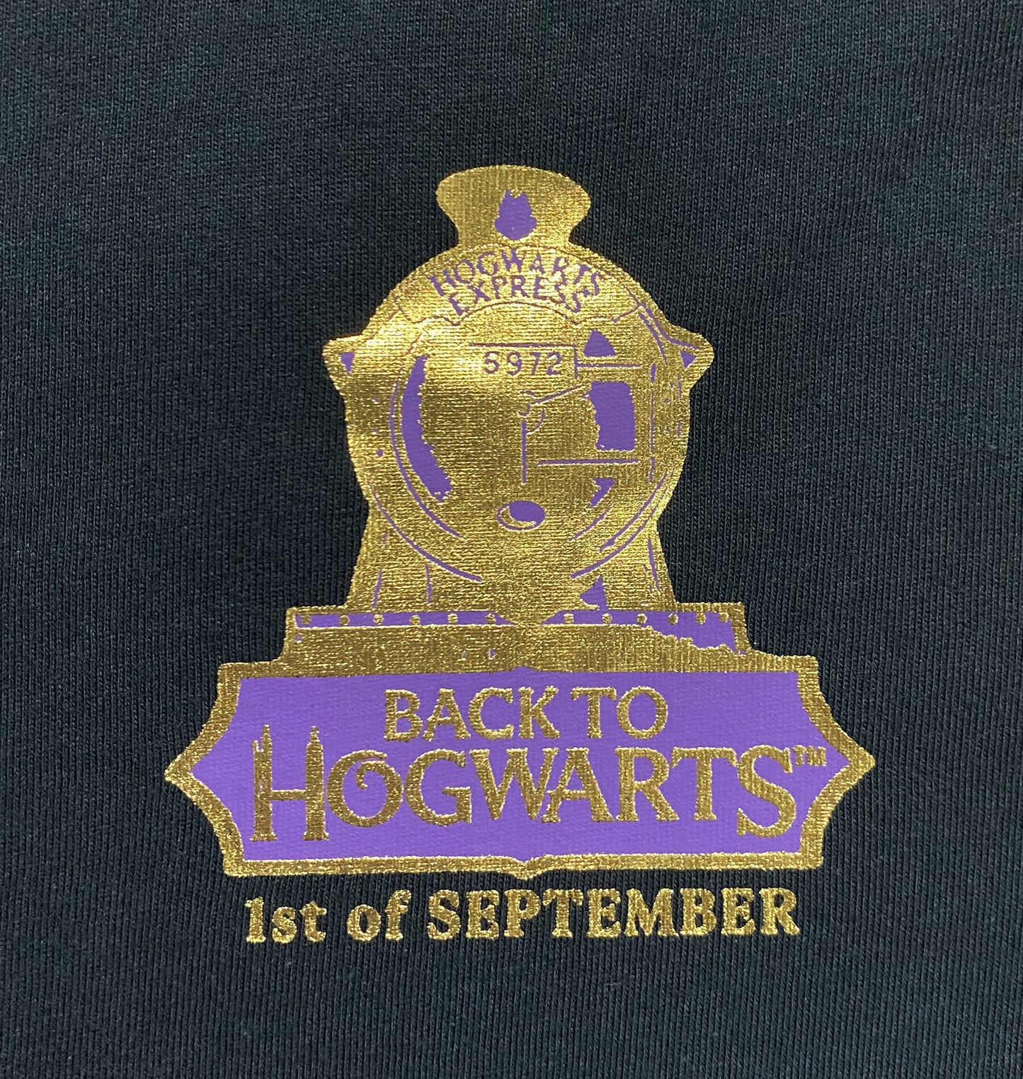 Back To Hogwarts T-Shirt