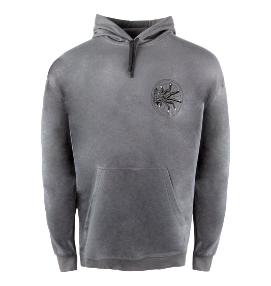 Chamber of Secrets Hoodie