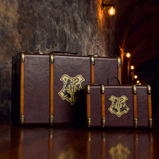Mini Hogwarts School Trunk Replica