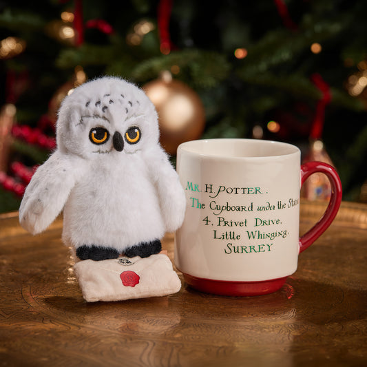 Acceptance Letter Mug & Plush Gift Set