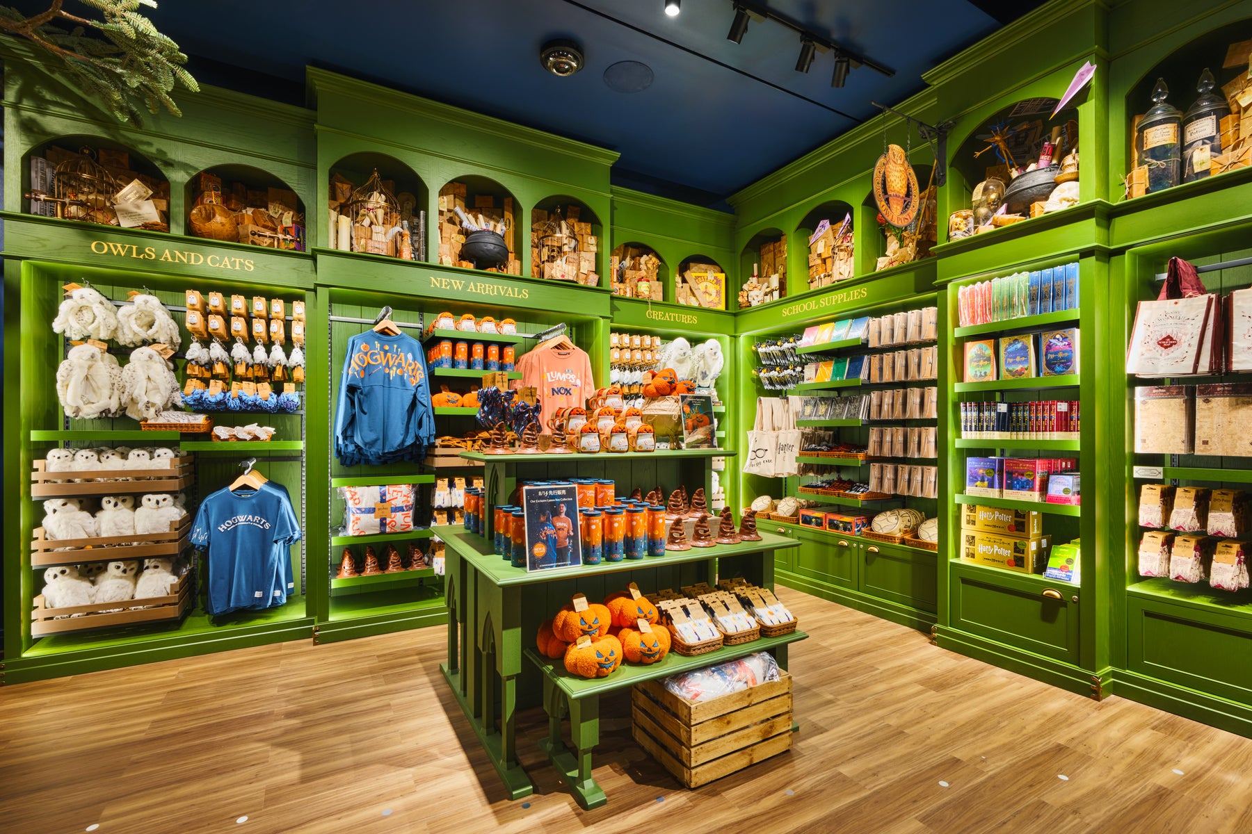 Harry Potter Shop Harajuku