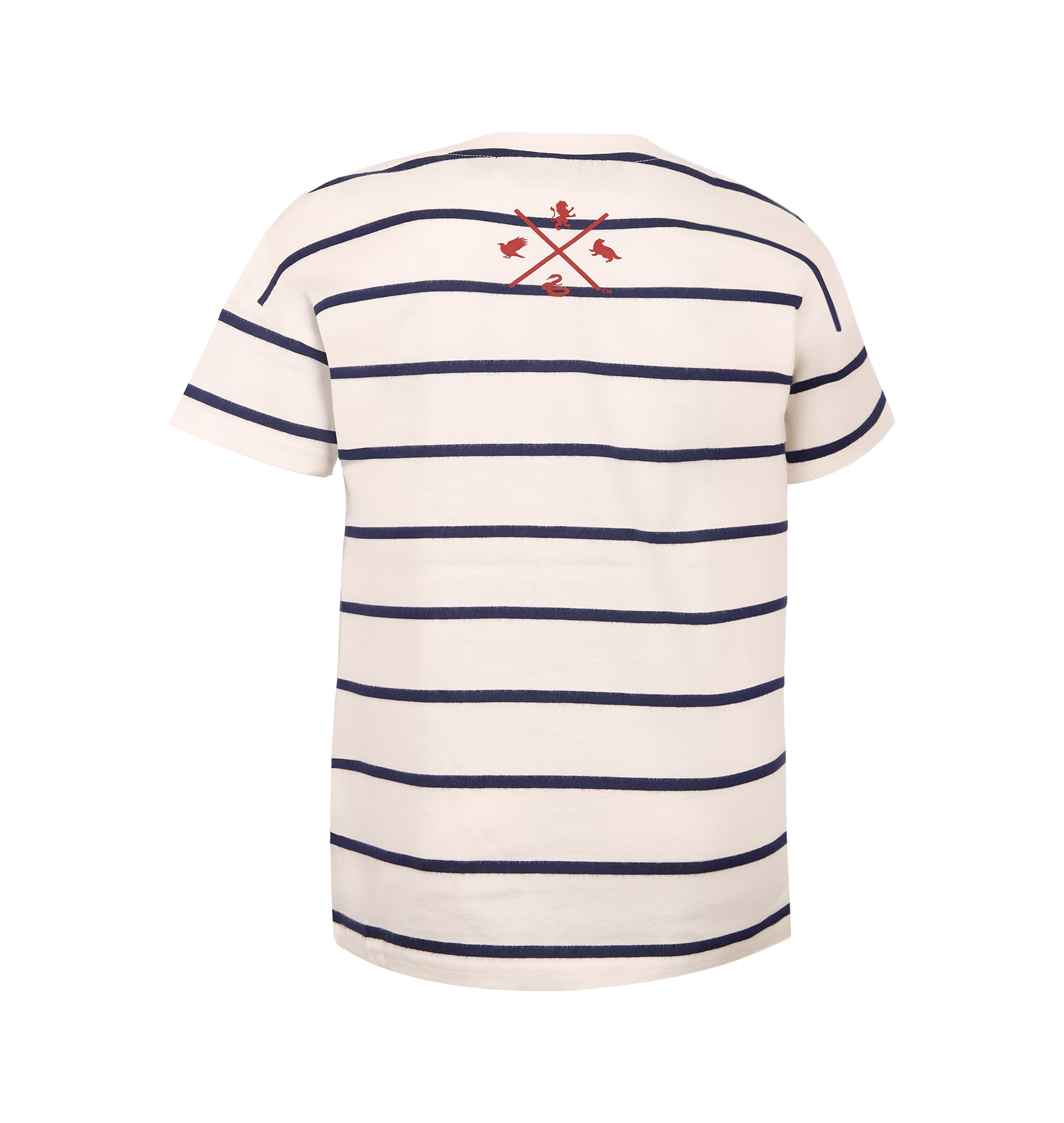 Kids Quidditch Striped T-Shirt