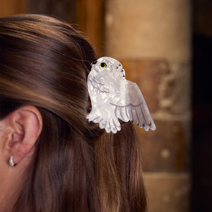 Magical Hogwarts Hair Clip