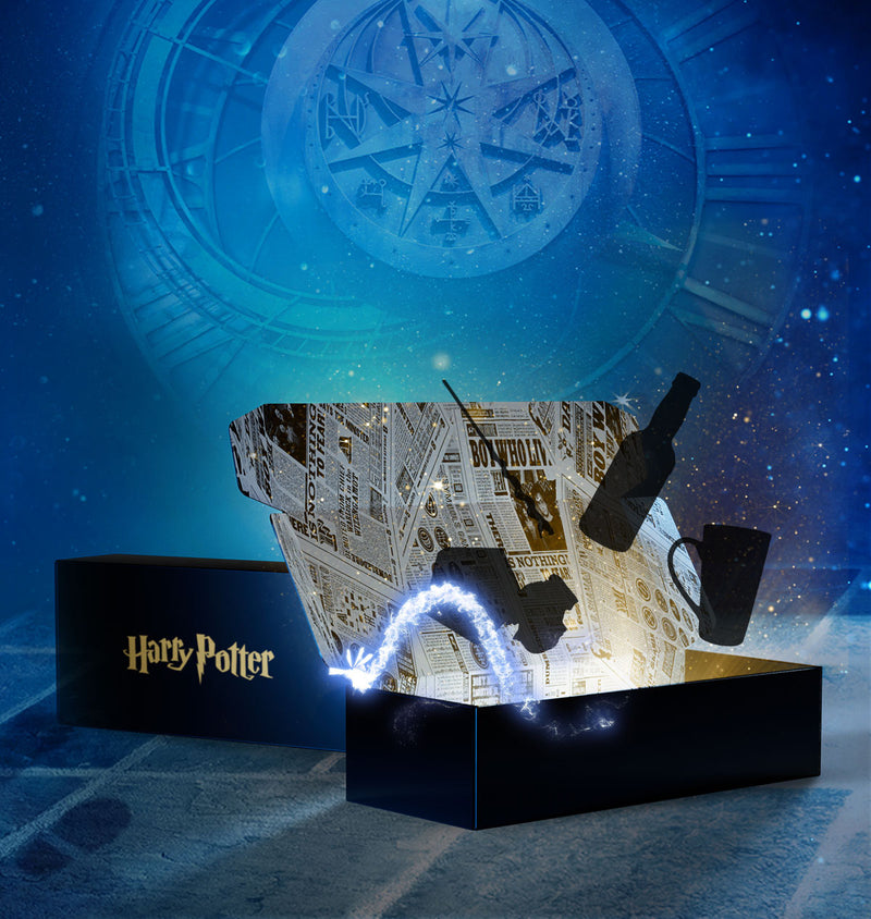 Harry Potter Mystery Box