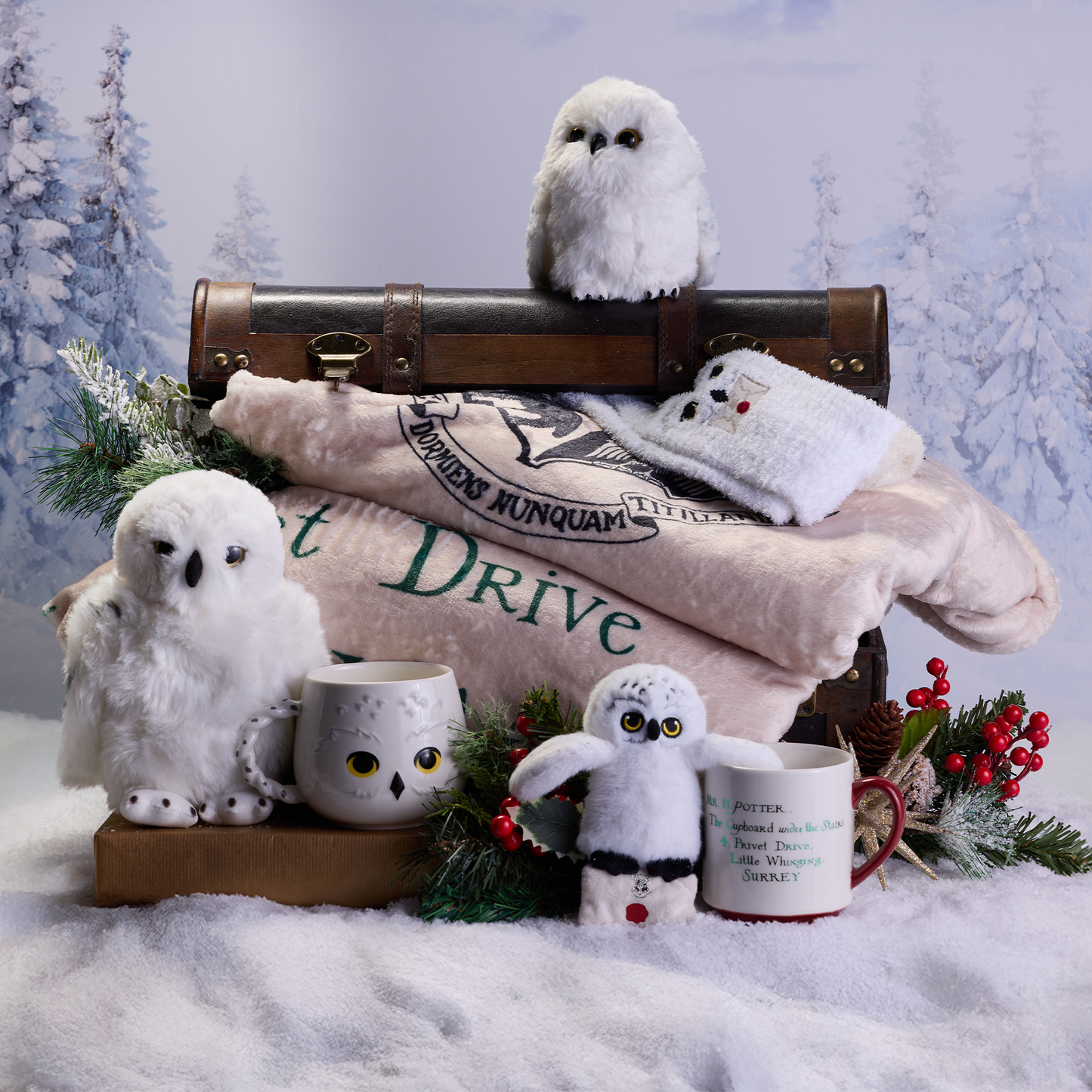 Hedwig Cosy Mug, Acceptance Letter Mug & Plush Gift Set, Acceptance Letter Throw Blanket, Hedwig Cosy Socks