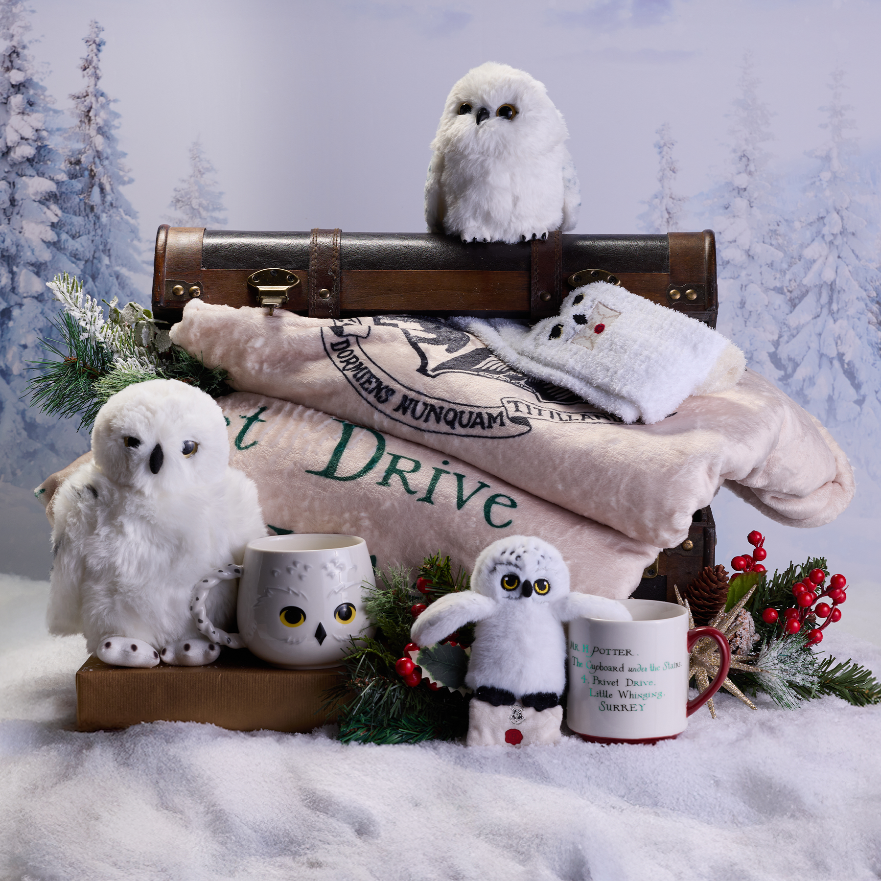 Hedwig Cosy Mug, Acceptance Letter Mug & Plush Gift Set, Acceptance Letter Throw Blanket, Hedwig Cosy Socks