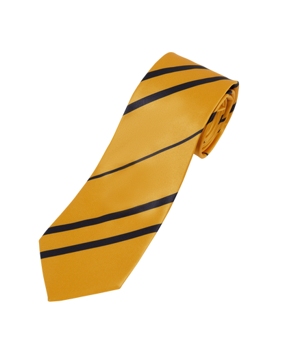 Hufflepuff House Tie