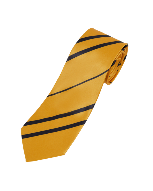 Hufflepuff House Tie