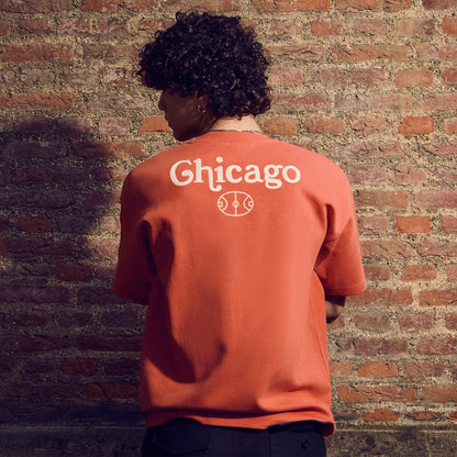 Quality Quidditch Supplies Chicago T-Shirt