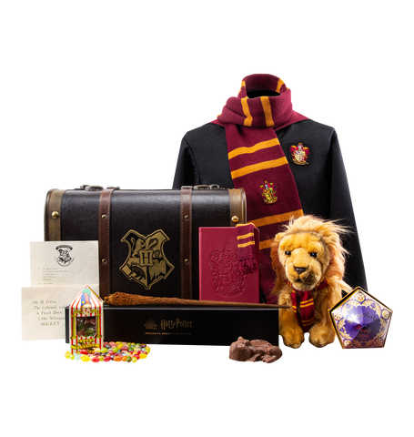 Harry Potter Gifts for Girls
