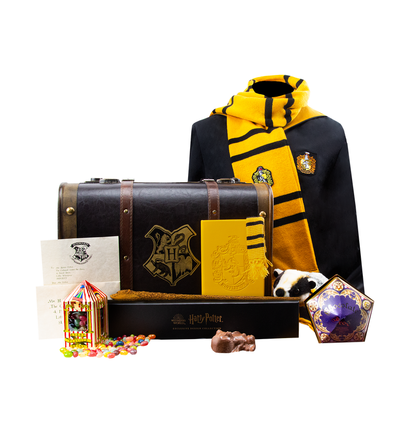 Harry potter toy chest deals