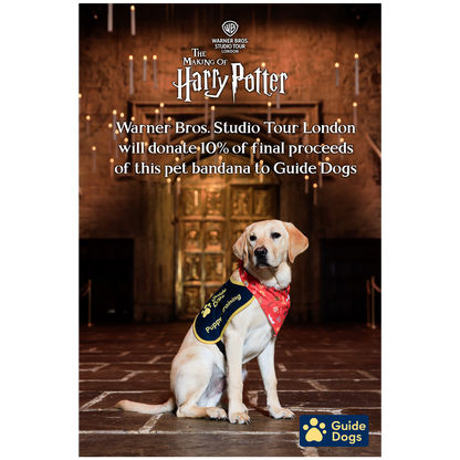 Hogwarts Christmas Pet Bandana