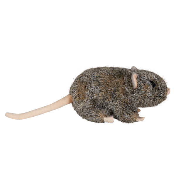 Harry potter scabbers plush hotsell