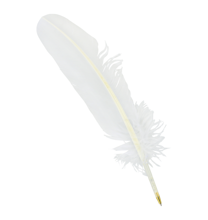 Feather Quill Pen