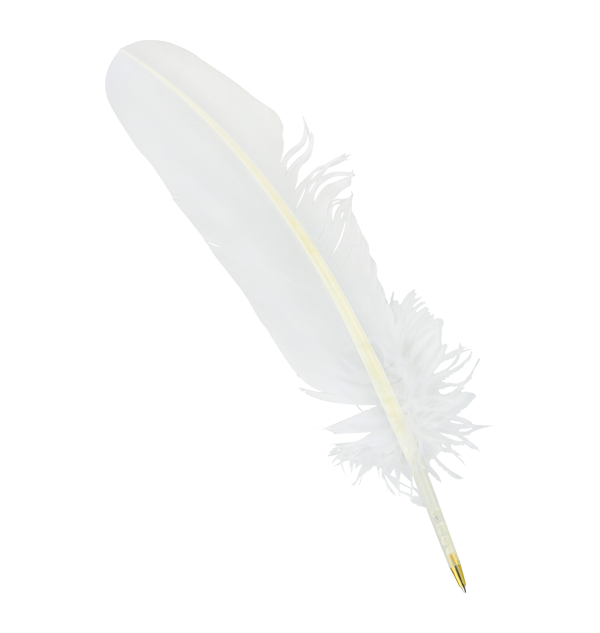 Harry Potter Feather Quill Pen NEW UK