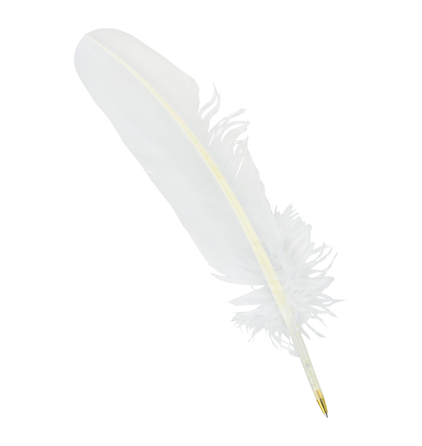 Feather Quill Pen