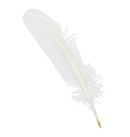 Feather outlet quill pen