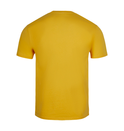 Hufflepuff Quidditch Team Captain T-shirt