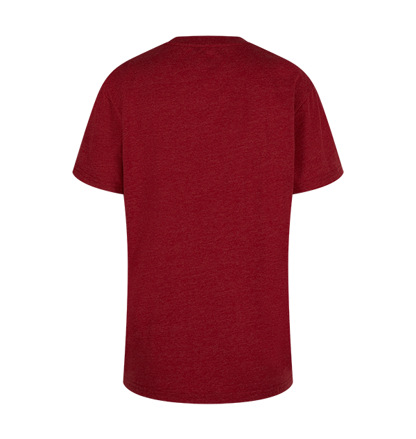 Kids Gryffindor Quidditch Team Captain T-Shirt