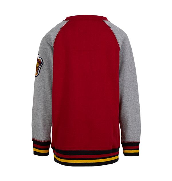 Kids Gryffindor Sweatshirt