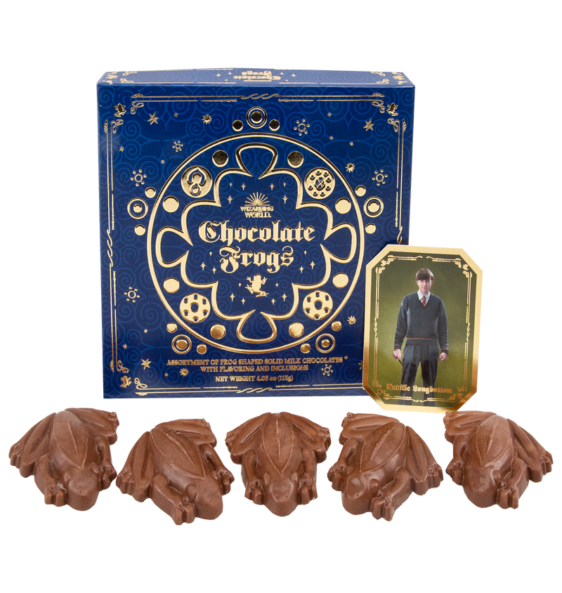 Harry Potter Bear and Chocolate Frog Box