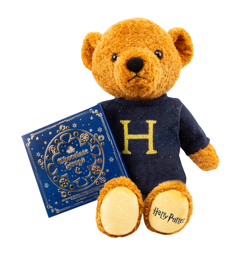 Harry Potter Bear and Chocolate Frog Box