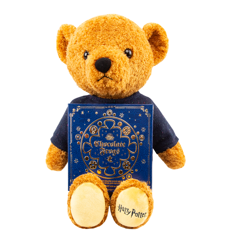 Harry Potter Bear and Chocolate Frog Box