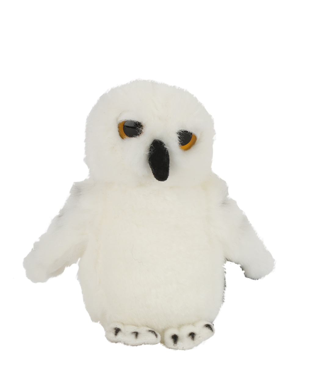 Hedwig Soft Toy Small