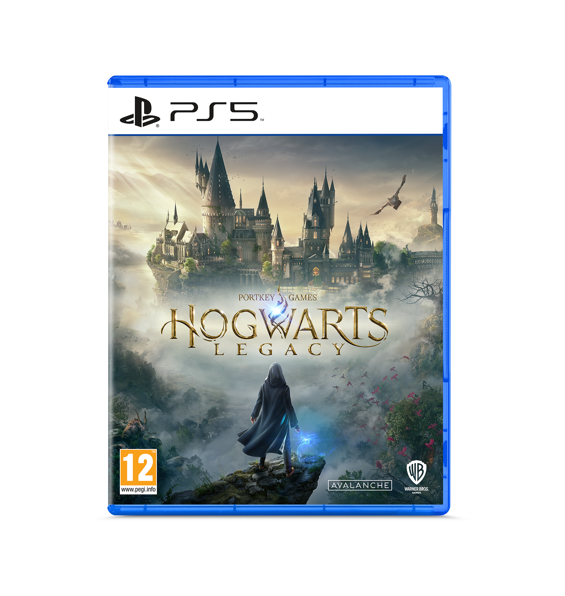 Hogwarts Legacy PS5 Game