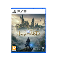 Hogwarts Legacy PS5 Game