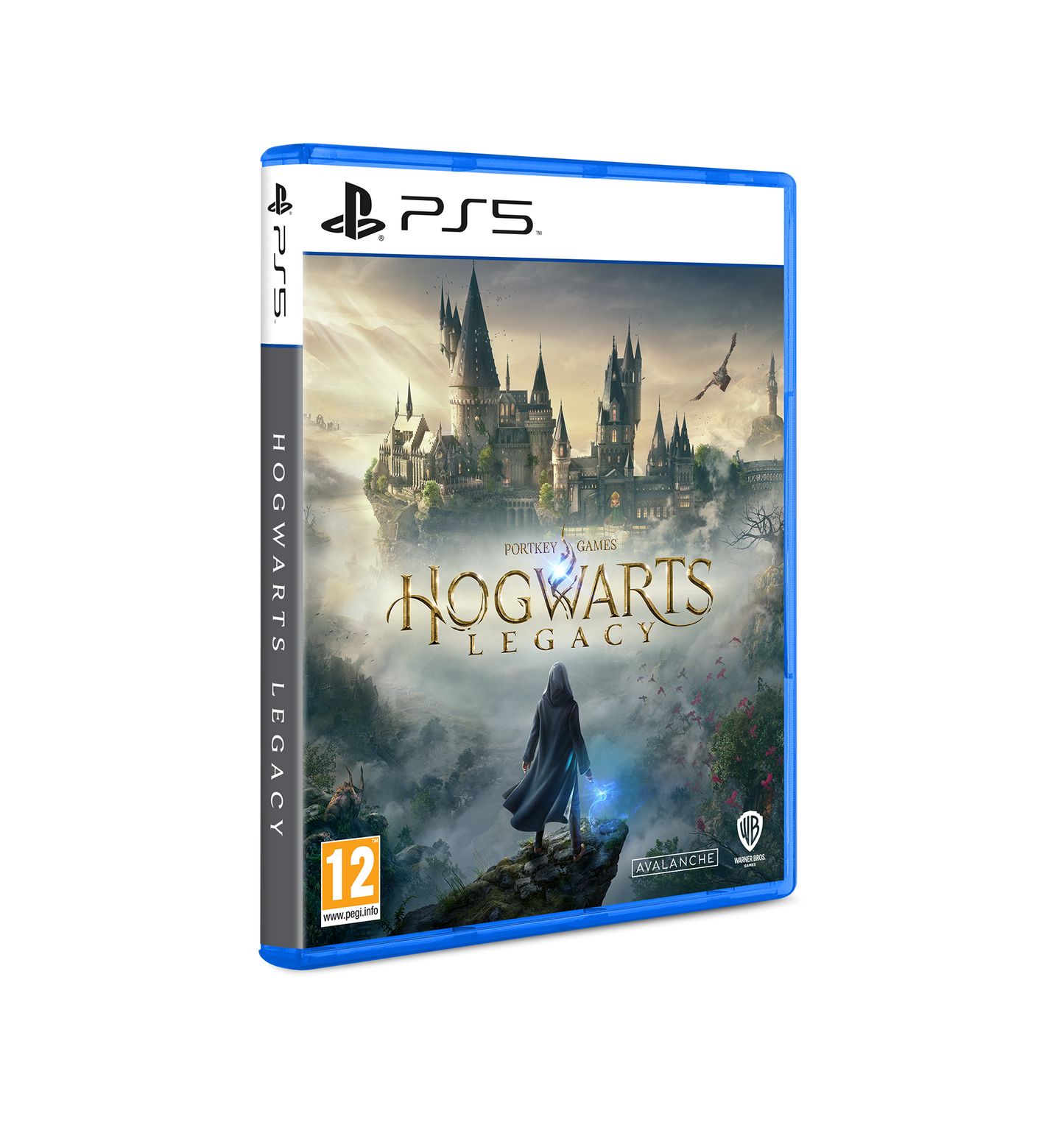 Hogwarts Legacy PS5 Game